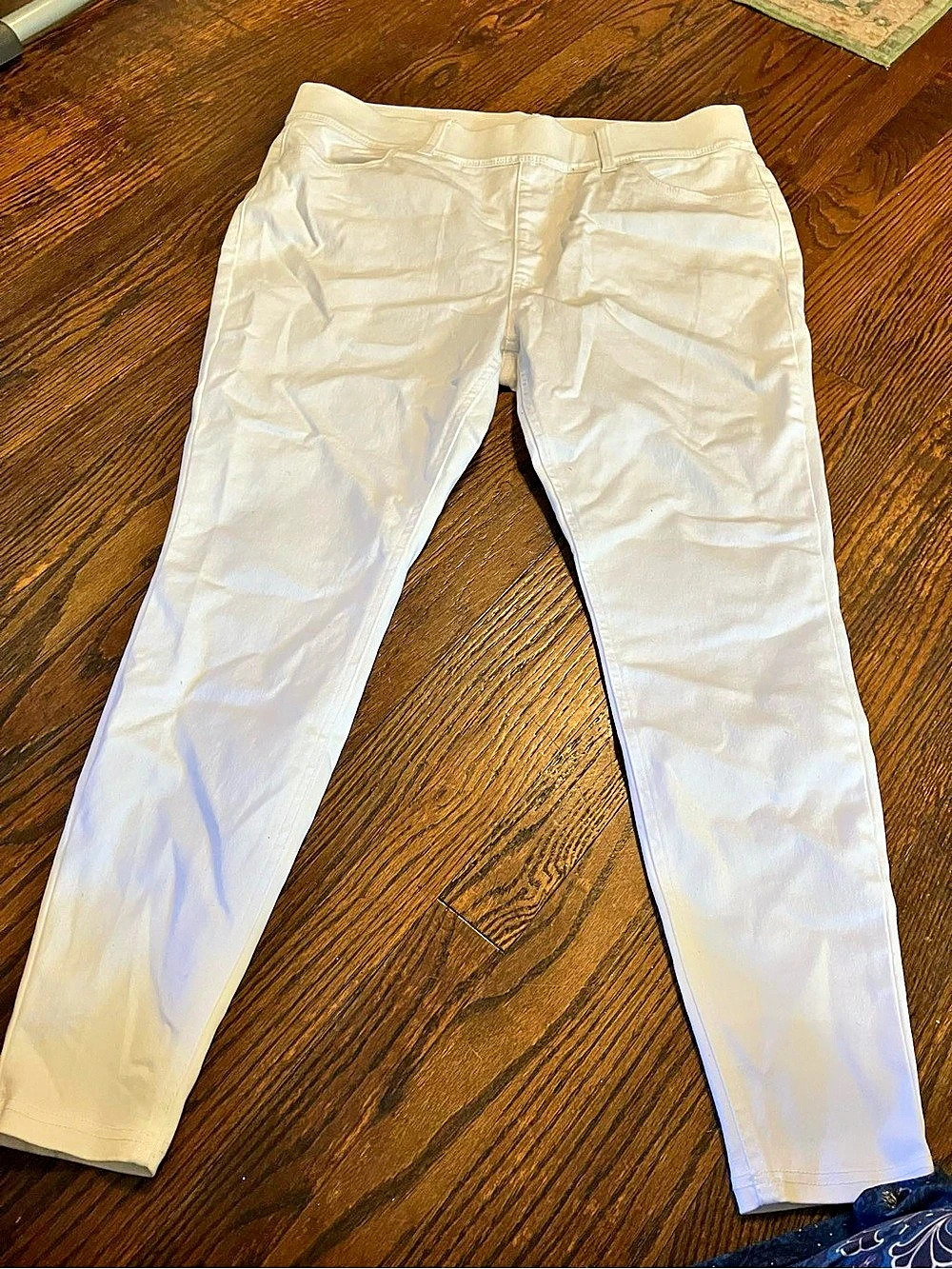 Terra & Sky Skinny Pants White Size 16W